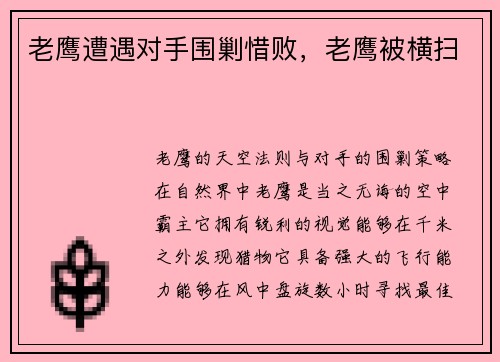 老鹰遭遇对手围剿惜败，老鹰被横扫